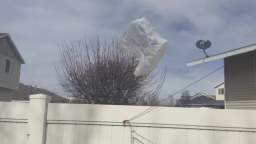 Plastic bag flies over fence - Recorded on March 3, 2022 at 1:17PM MT