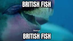 british fish