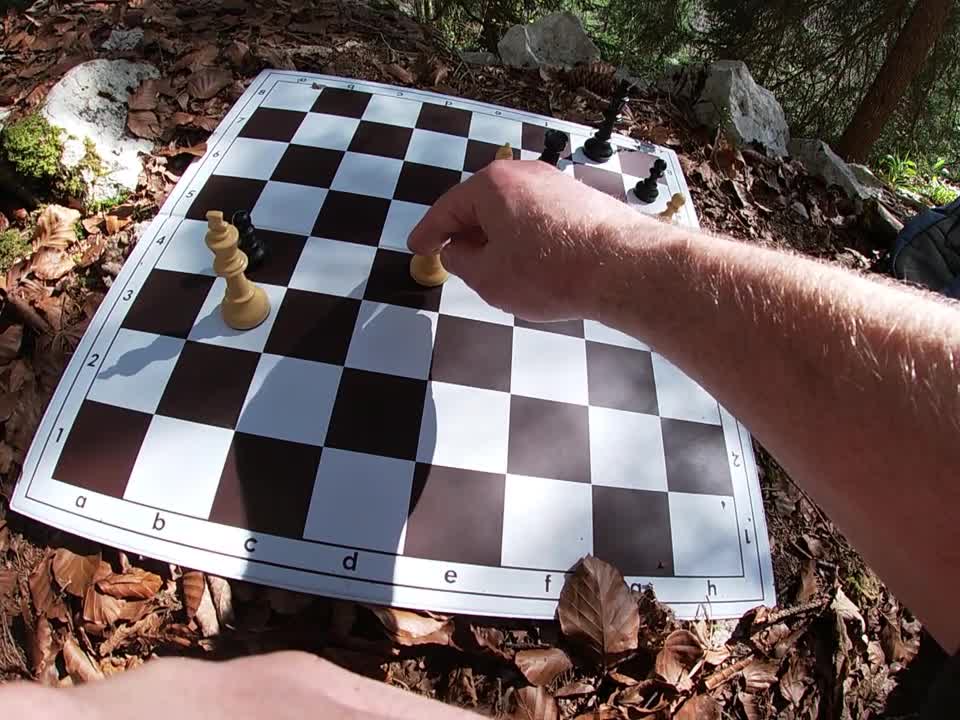 Stalemate avoidance. Study by Peter Krug & Mario García