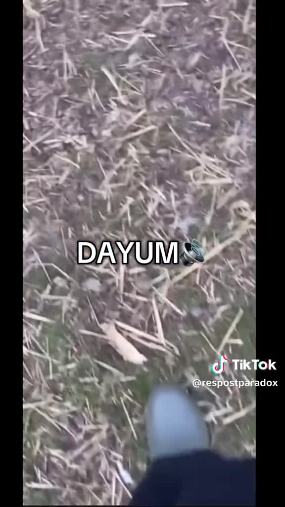 i was walking around here and i saw this little bastard #minis i was walking around here and i saw this little bastard #minis