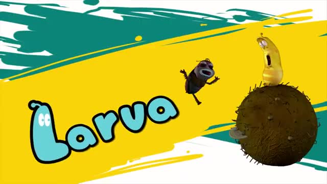 Larva S01 - 087 Grape