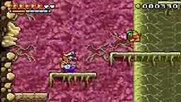 Wario Land 4 Gameplay