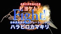 Japanese Bug Fights: Harabiro Mantis vs. Camel Spider (S02E02)