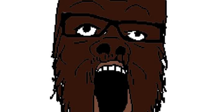 my thoughts on niggers