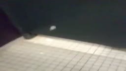 Bathroom Brawl Turns to Passionate Sex