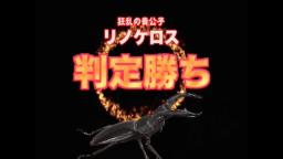 Japanese Bug Fights: Rhino Stag Beetle vs. Emperor Scorpion (S02E10)