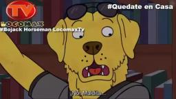 LocomaxTv Bolivia 2020
