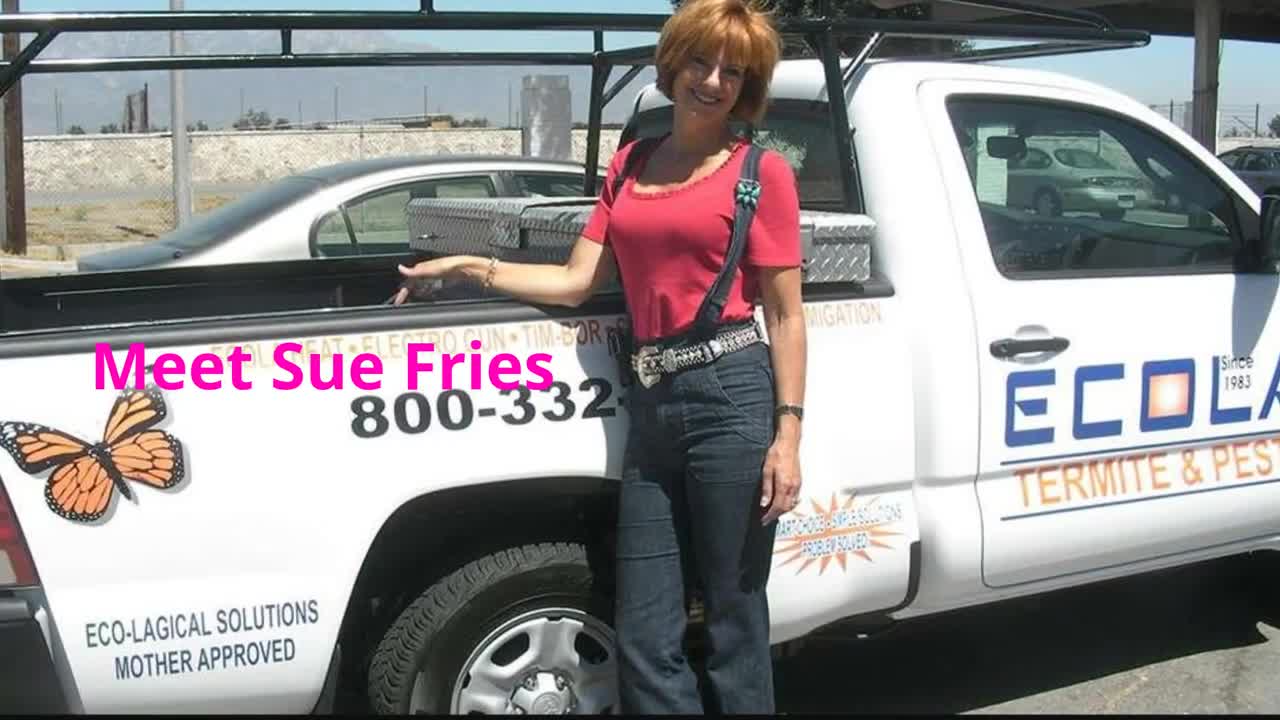 Ecola Termite - Reliable Pest Control in Los Angeles, CA