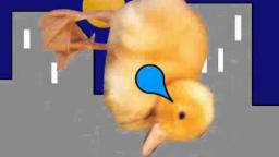 Emo Duck (4chan City)