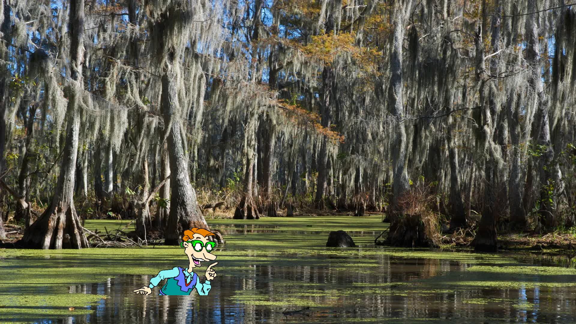 Drew Pickles Goes To A Swamp