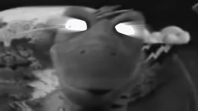 ⓟooⓟ M͓ͭͦ̓̓ͧͭ̀͊ͮ͜É̢͘T͍̗̃ͨͭ̿̉̀͘Aͮ̊͆M̞̠̾̓͑̈ͨȎ͈̊͒̍͋͂R̤̽̊͠FI̶͕̹ͥ̐̍͞C̡̟̈́̈ͪ̊O̖ͣ̇̀̏̀̚
