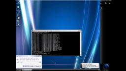 I destroy windows longhorn Sigma OS 3.0 through virus programs