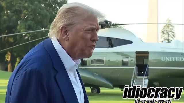 Trump they dont know what the f..k they are doing