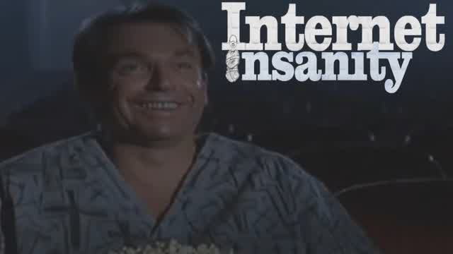 Internet Insanity- Kirbyslover (inspired by Mister Metokur)