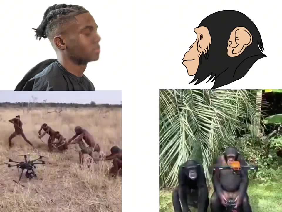 IQ difference between GSE10 (Monkey) and Monkeys