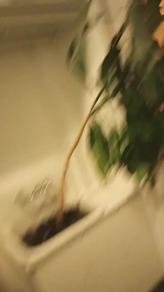 ?