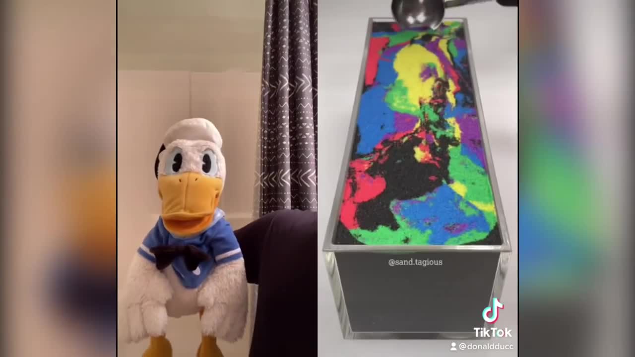 Donaldducc VIdeo