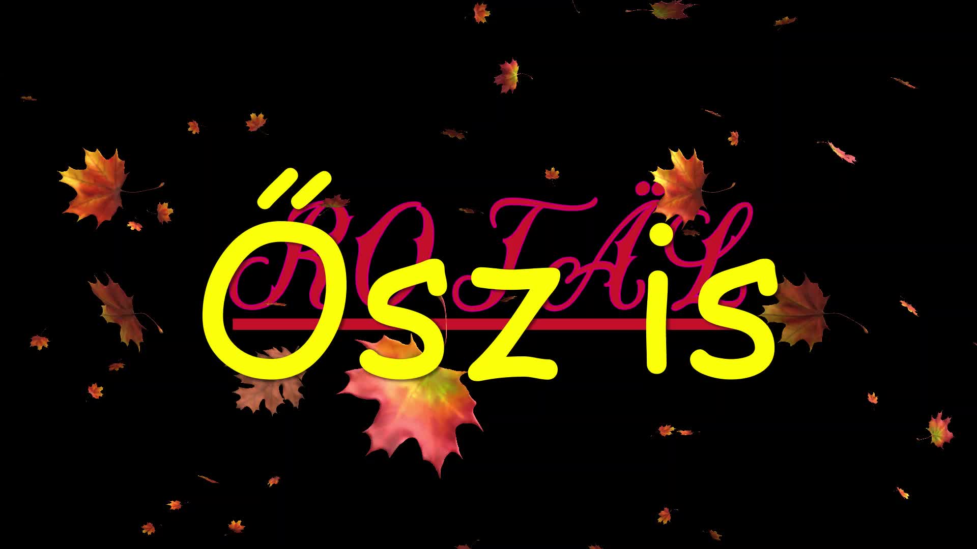 Rotäl ¦ Az ősztől (dalszöveges audió)