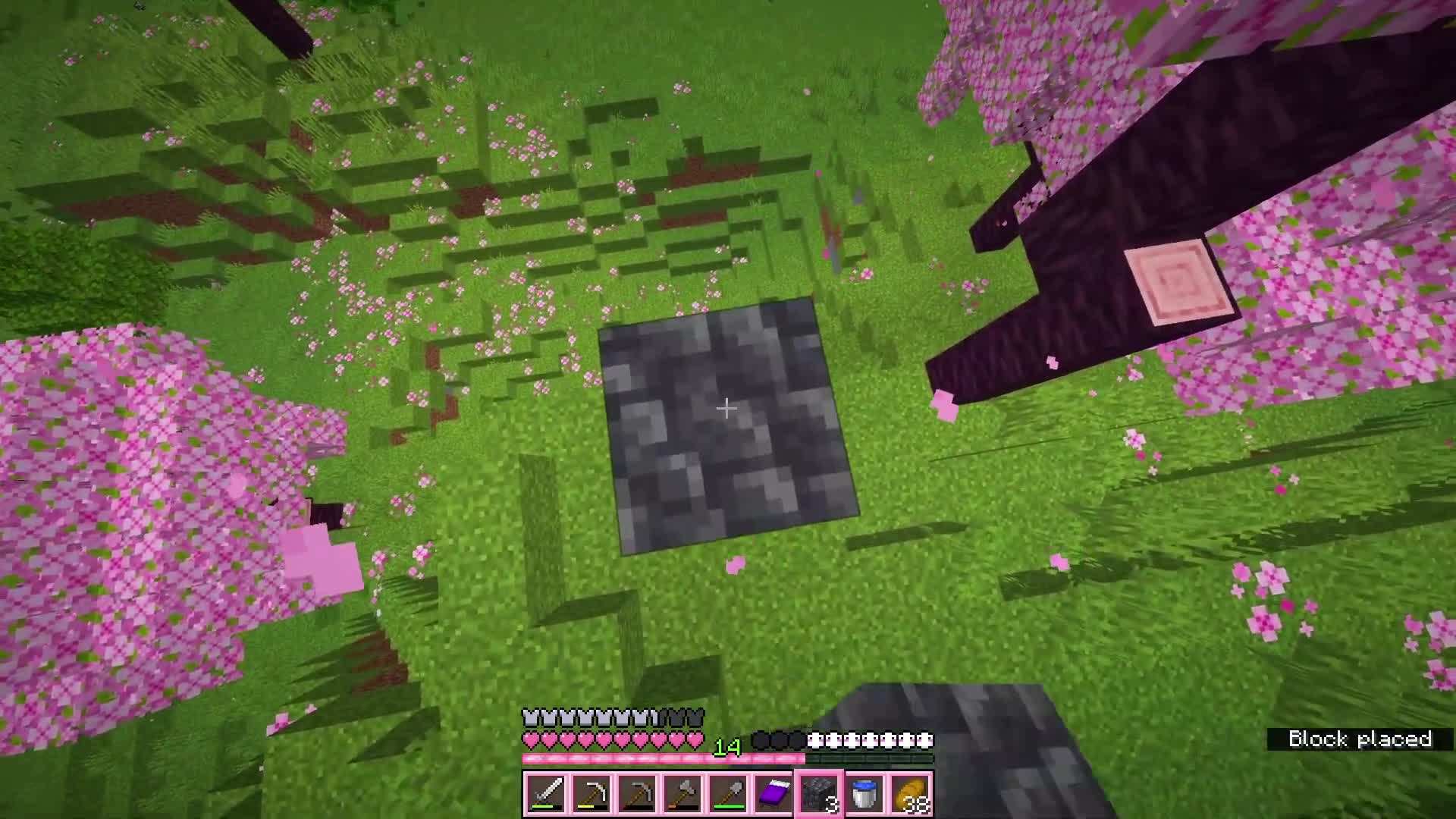 [ASMR] Minecraft Survival #3 - I Found Cherry Blossoms! - Haley ASMR (1080p, h264)