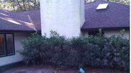 Premier Landscape Management - #1 Commercial Building Hedge Trimming in Sanford, FL