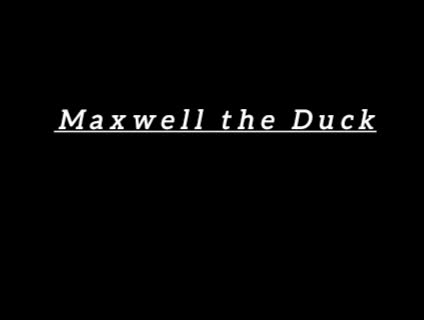 Maxwell the Duck