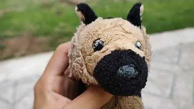 Este Gym es un Poco Diferente...