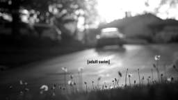 [adult swim] Bump - Dandelion