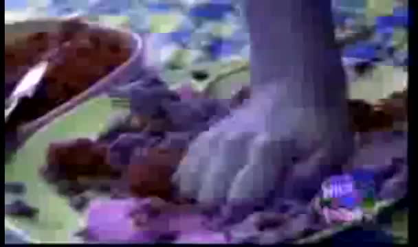 youtube poop: what i see when my eyes are closed