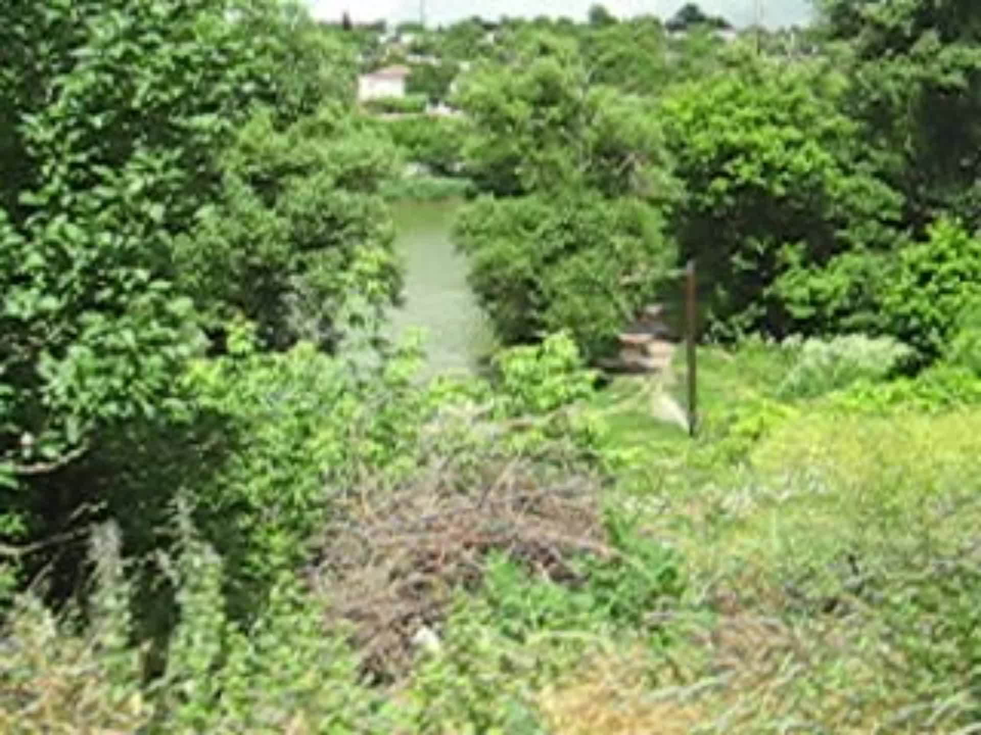 My vlog on old digcam