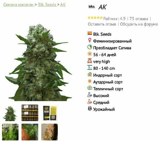 Ак-47 обзор сорта марихуаны
