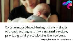 Unlocking the Power of Breastfeeding: Prenatal Vitamins and DHA
