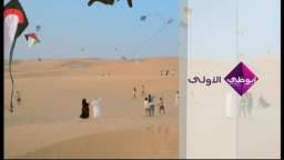 kites