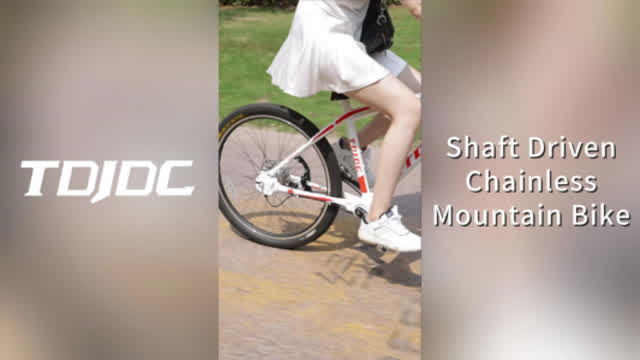 Do you like the mountain bike without chain, shaft driven?
