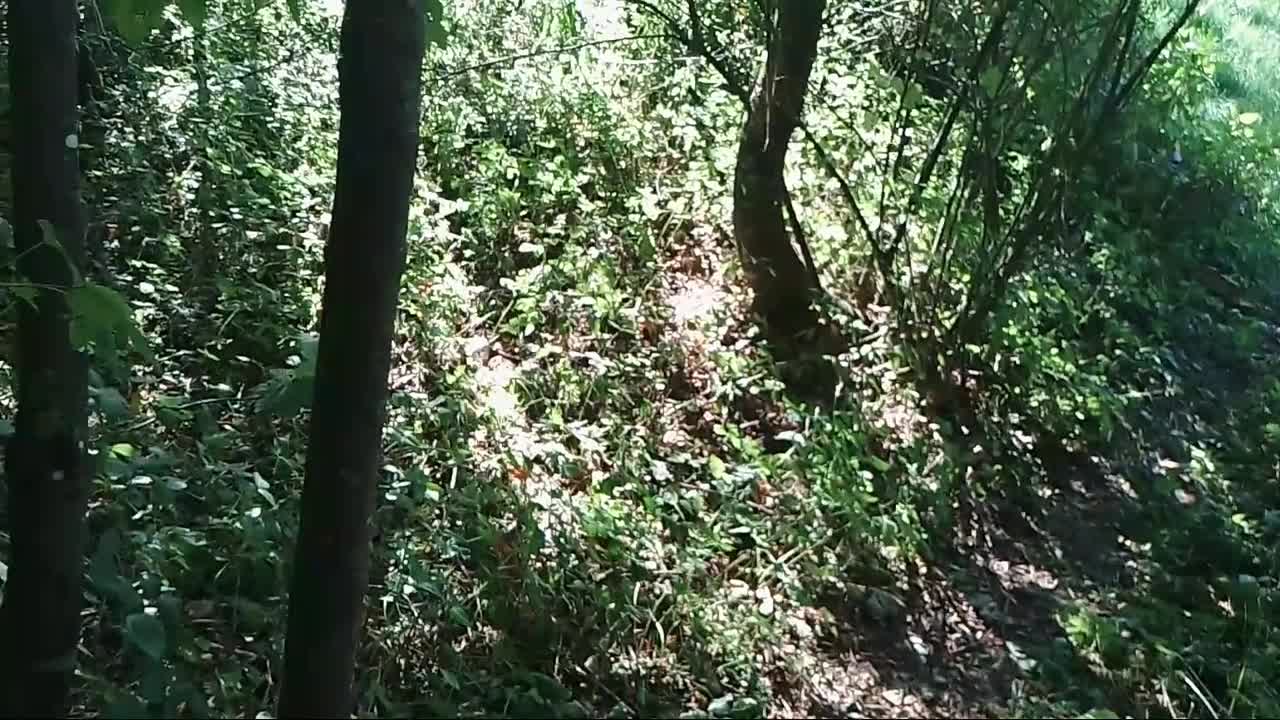 Ungewöhnlicher Seilweg führt durch die Landschaft