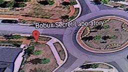 Bobux Secret Lab