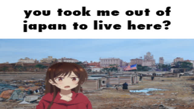 studying american culture (offensive)
