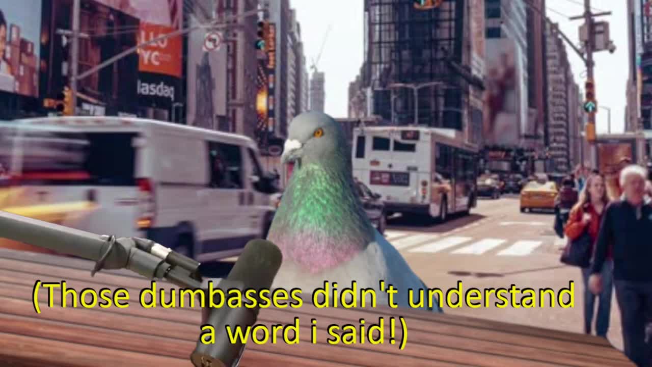 Extra Ammo_ The Pigeon-Cast