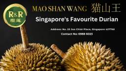 Singapores Favorite Durian Mao Shan Wang - R&R Durian