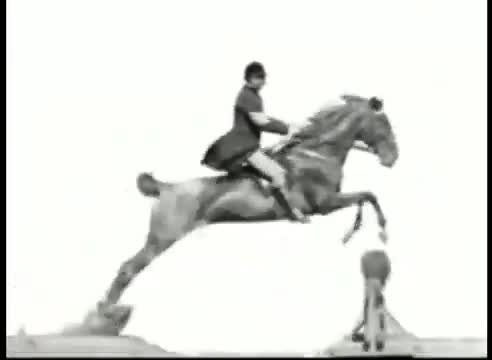 Pferd und Reiter Springen uber ein Hindernis (1888)