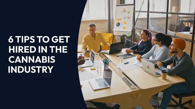 6 Tips to Get Hired in the Cannabis Industry