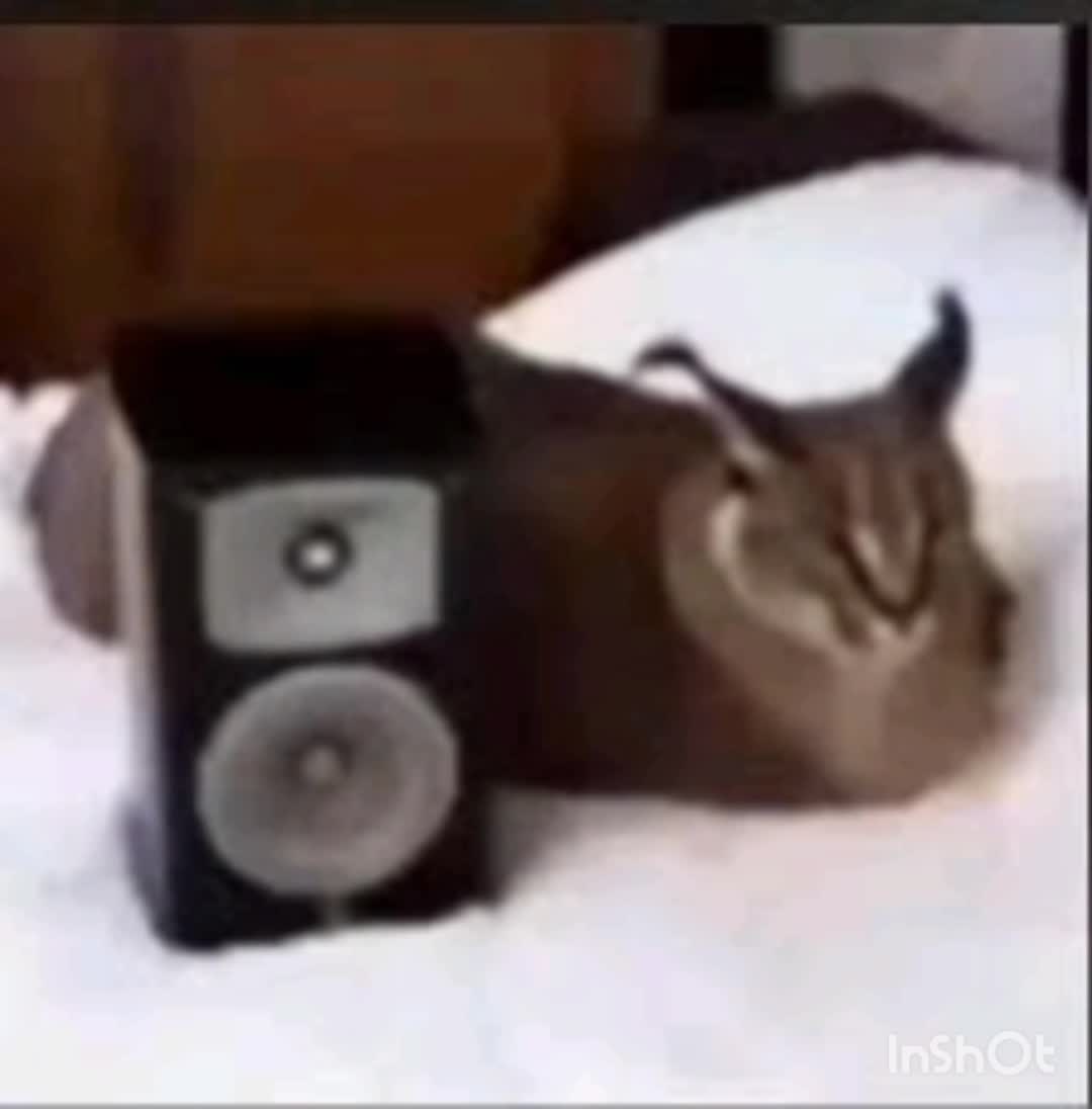 mibueenaAAAMOOOOAAAAAAAArr