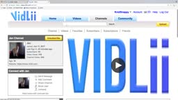Partners, Banners, 480p, and More! VidLii Updates