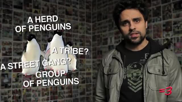 DA FUQ (2012)