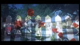 Blue Velvet (1986) - Opening Sequence