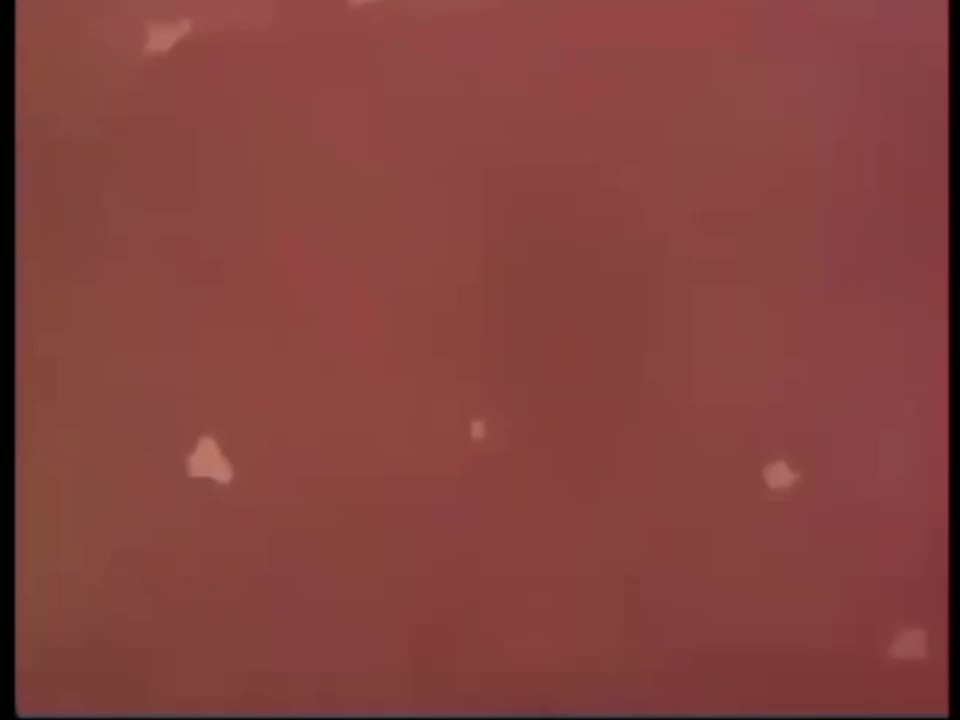 Can Can | Tom and Jerry | Cartoon Network Too Africa