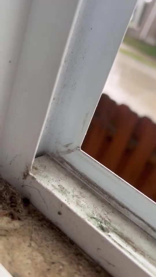 Siren Testing video !!!!! (Credit to Tyler Conley)