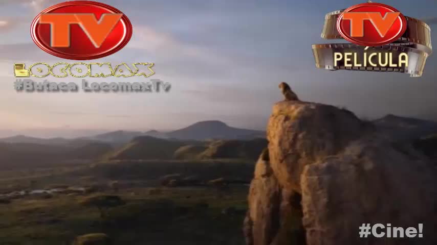 LocomaxTv Bolivia Anime Junio 2025