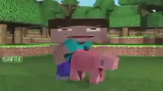 Stif se folla un serdo