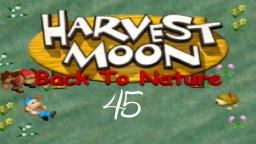 Harvest Moon: Back To Nature #45
