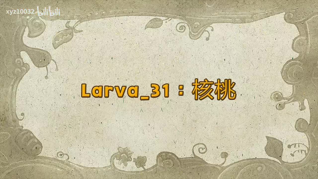 Larva Season 1 Episode 31 Walnut